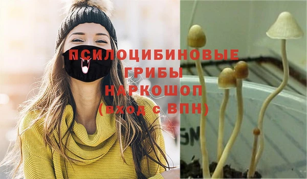 ALPHA-PVP Абинск