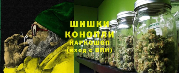 крисы Абдулино