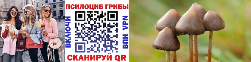 Псилоцибиновые грибы прущие грибы  Нестеров 